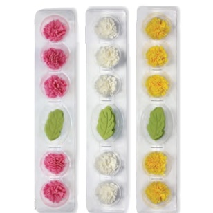 Sugar Craft Carnations