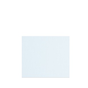 Canvas Panel